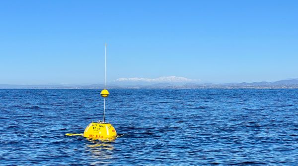 CDIP 100 Buoy Replaced