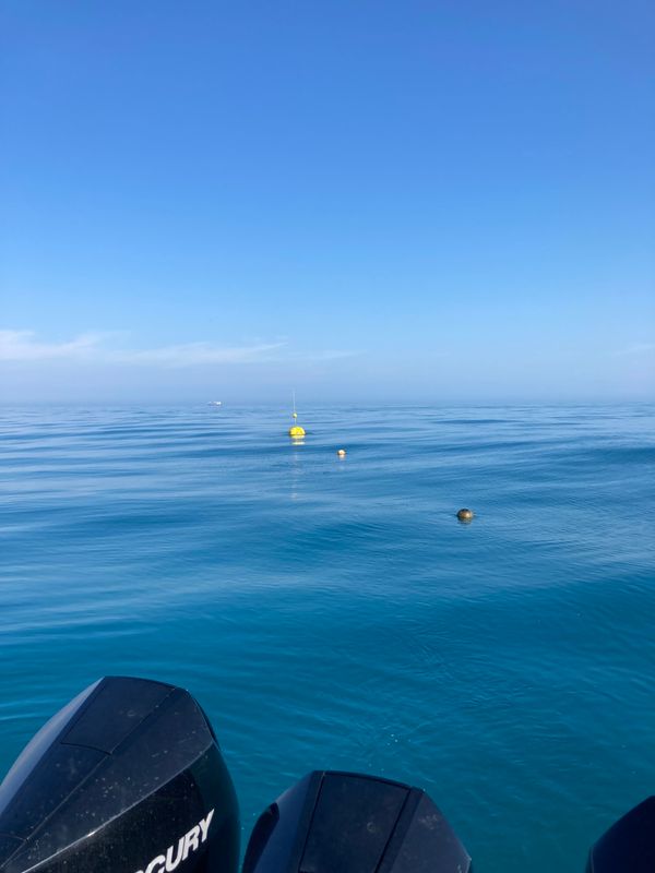 Florida Buoy Replaced