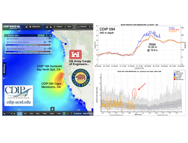 Strong waves out of season: CA & NH