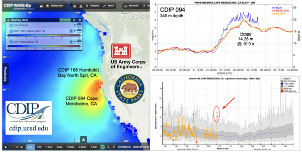 Strong waves out of season: CA and NH